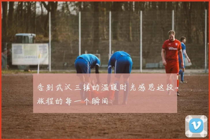 告别武汉三镇的温暖时光感恩这段旅程的每一个瞬间